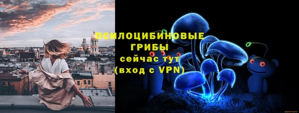 mdpv Александровское