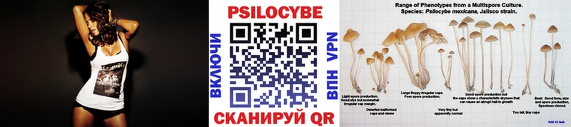 Псилоцибиновые грибы прущие грибы  Норильск 
