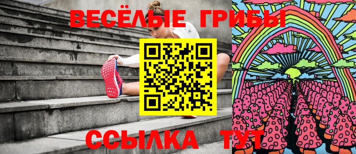 Псилоцибиновые грибы мицелий  Вход с VPN  хочу   Норильск 