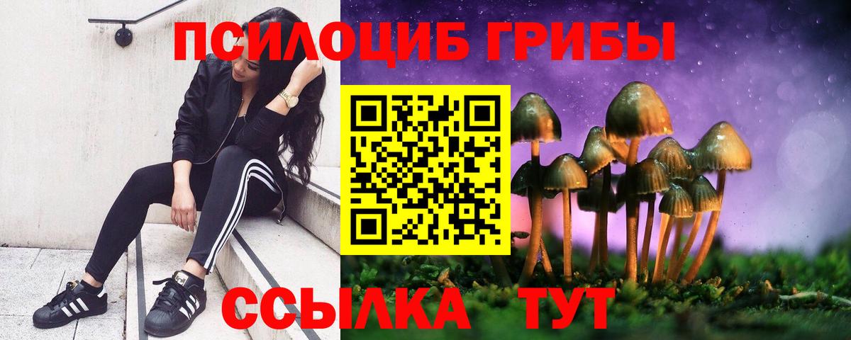 Галлюциногенные грибы мухоморы Норильск